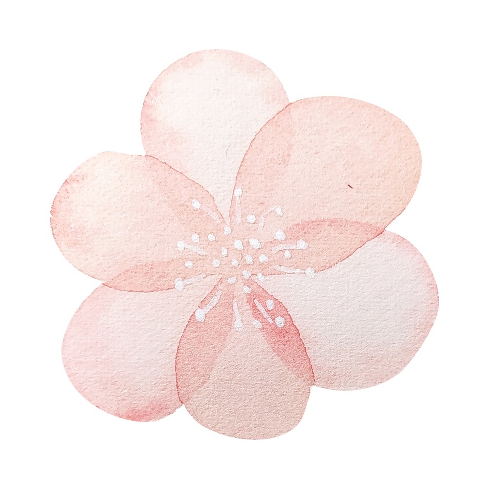 Baby and Kids $5 Start - Picture 1 of 1